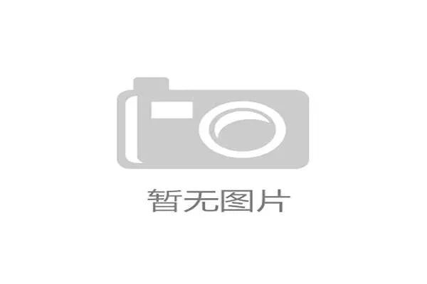 蒂亚戈·席尔瓦与鲁伊斯的分散防守定位如何驱动多点协同体系