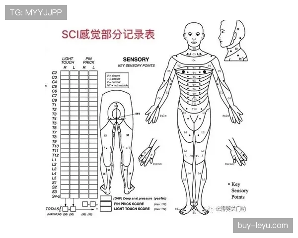 门线判定规则详解：关键判罚标准与视频助理裁判运用